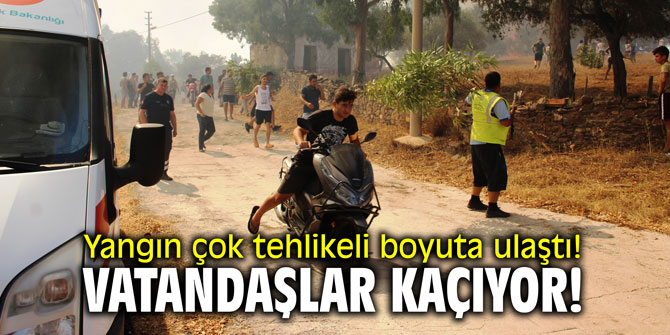 Yangın çok tehlikeli boyuta ulaştı! Vatandaşlar kaçıyor!