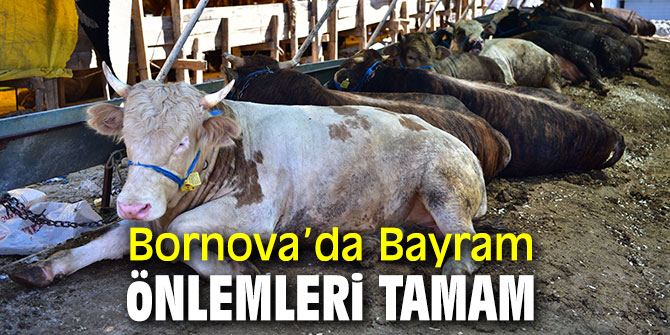 Bornova Belediyesi Kurban Bayramı için önlemler aldı!