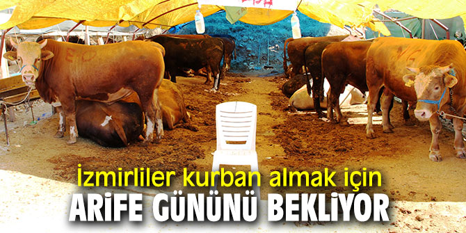 İzmir'de besiciler dert yakındı! Arife Gününü bekliyorlar