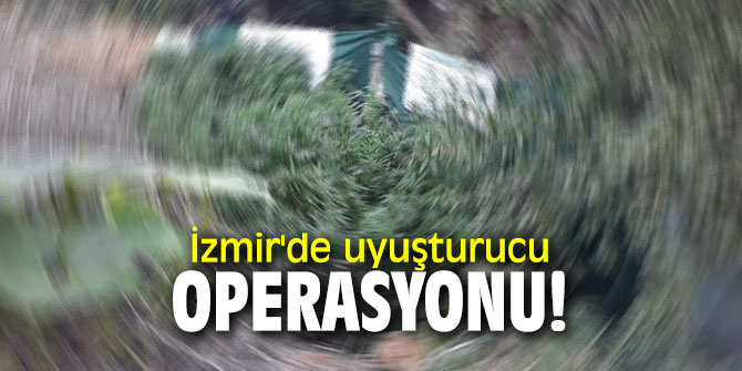 İzmir'de uyuşturucu operasyonu!