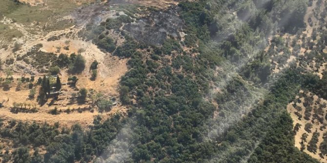 Ormanlık alanda yangın! 
