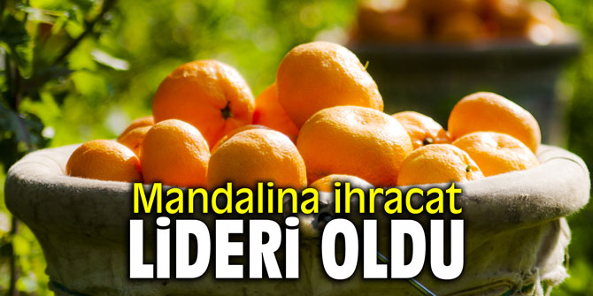 Mandalina ihracat lideri oldu