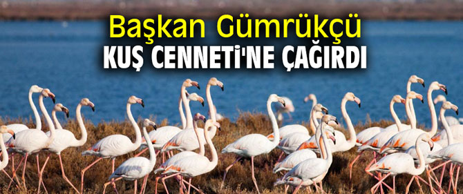 Başkan Gümrükçü Kuş Cenneti'ne çağırdı