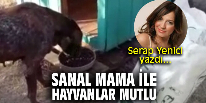 Sanal mama ile hayvanlar mutlu