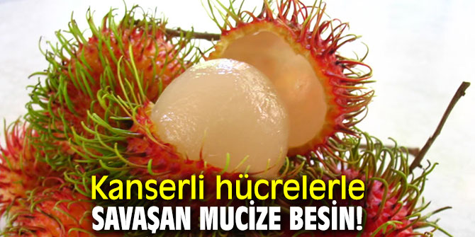 Bu meyveye dikkat! Kanserli hücrelerle savaşan mucize besin!
