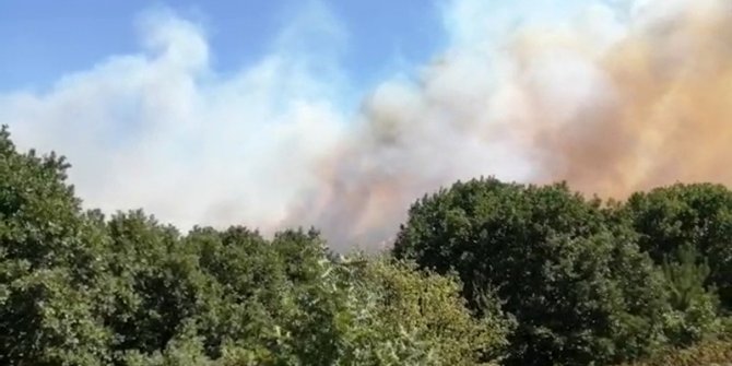 Korkutan orman yangını