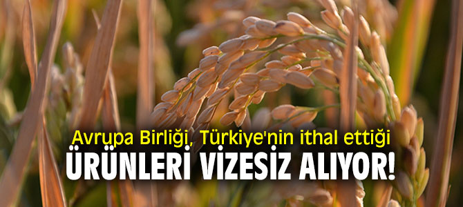 Avrupa Birliği, Türkiye'nin ithal ettiği ürünleri vizesiz alıyor!
