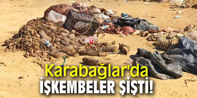 Karabağlar'da işkembeler şişti!