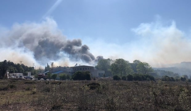 Korkutan yangın: Patlama sesleri geliyor