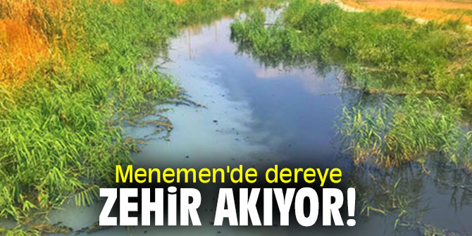 Menemen'de dereye zehir akıyor!