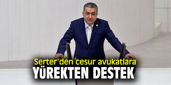 CHP'li Serter, "Yargı reformu ile çelişiyor"