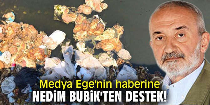 Medya Ege'nin haberine Nedim Bubik'ten destek!