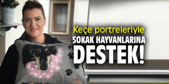 Keçe portreleriyle sokak hayvanlarına destek!