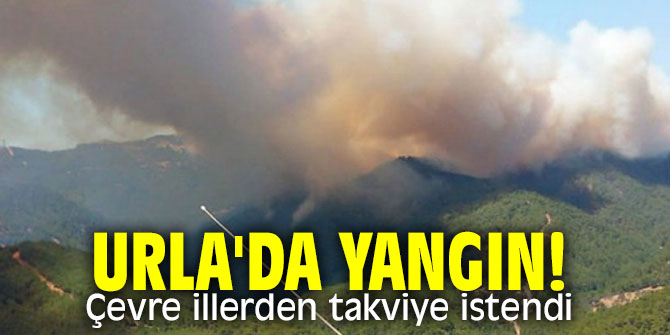 Urla'da yangın!
