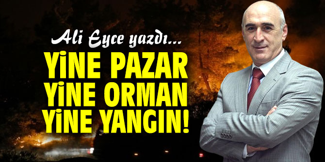 Yine Pazar, Yine Orman, Yine Yangın!