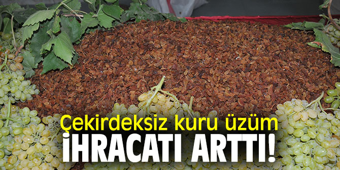 Çekirdeksiz kuru üzüm ihracatı arttı!