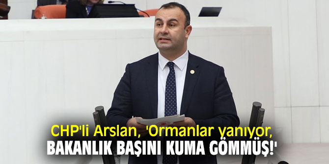 CHP'li Arslan, 'Ormanlar yanıyor, Bakanlık başını kuma gömmüş!'