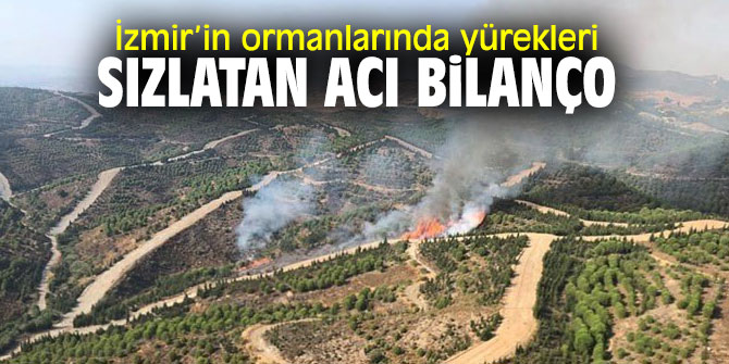 Orman yangınında acı bilanço!