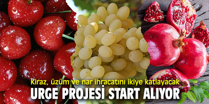Kiraz, üzüm ve nar ihracatını hedef 750 milyon dolar!