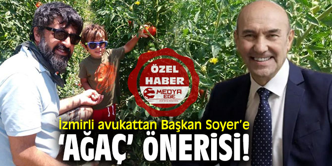 İzmirli Avukattan Başkan Soyer’e ‘Ağaç’ önerisi!