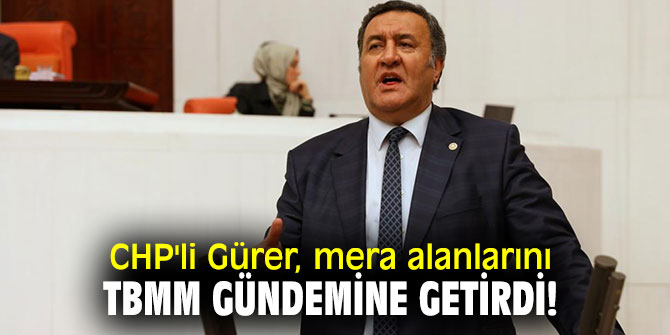 CHP'li Gürer, mera alanlarını TBMM gündemine getirdi!