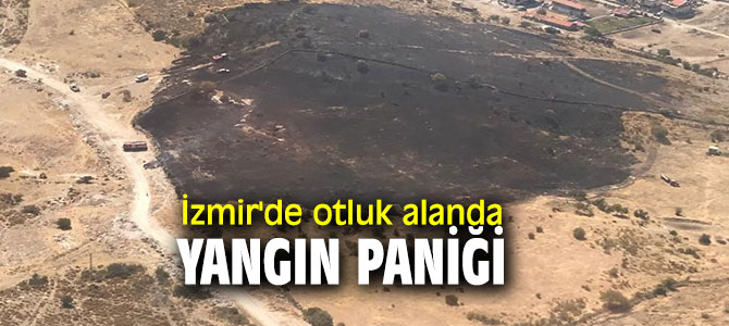 Son dakika! İzmir'de otluk alanda yangın paniği