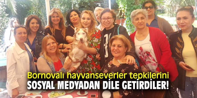 Bornovalı hayvanseverler tepkilerini sosyal medyadan dile getirdiler!