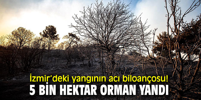  İzmir’deki yangının acı bilançosu! 5 bin hektar orman yandı