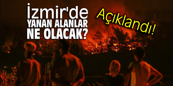 İzmir'de yanan alanlar ne olacak?