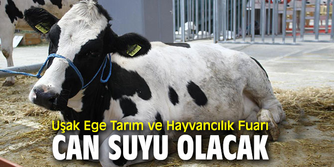 Uşak Ege Tarım ve Hayvancılık Fuarı can suyu olacak