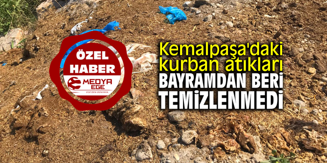 Kemalpaşa'daki kurban atıkları bayramdan beri temizlenmedi