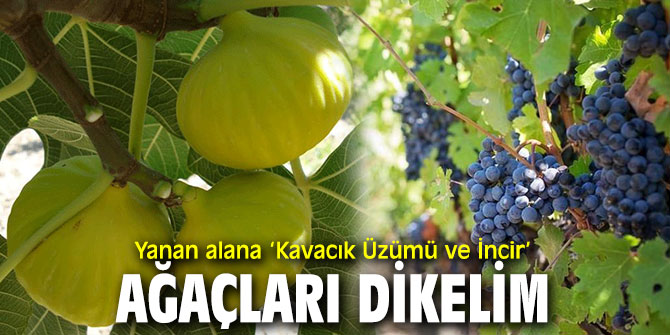 M.İrfan Akça'dan  Karabağlar yangını sonrası öneri!