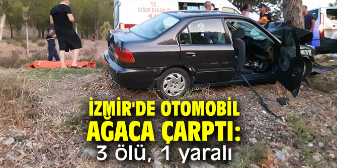 İzmir'de feci kaza! Otomobil ağaca çarptı
