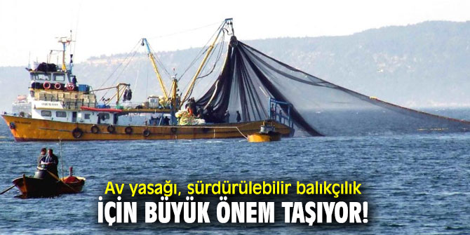Av yasağı, sürdürülebilir balıkçılık için büyük önem taşıyor!