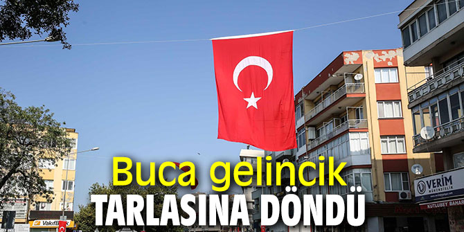 Buca gelincik tarlasına döndü