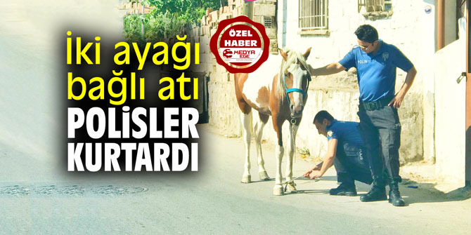 İki ayağı bağlı atı polisler kurtardı