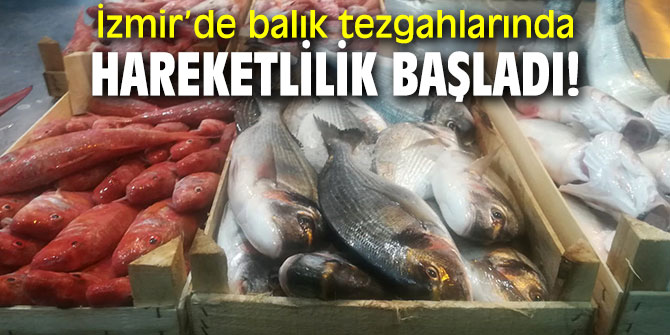 İzmir’de balık tezgahlarında hareketlilik başladı!