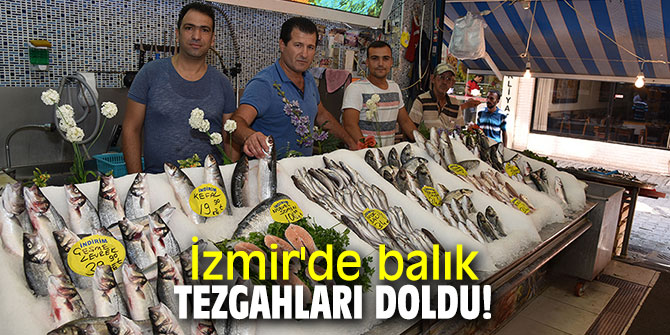 İzmir'de balık tezgahları doldu!