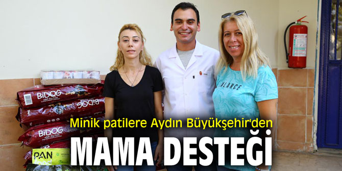 Minik patilere Aydın Büyükşehir'den mama desteği