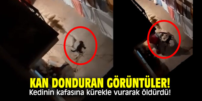 Kan donduran görüntüler! Kedinin kafasına kürekle vurarak öldürdü!