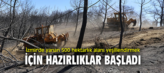 Yanan alanı yeşillendirmek için hazırlıklar başladı!