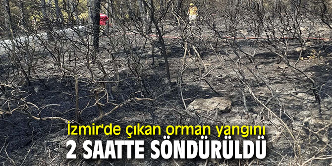İzmir'de çıkan yangın söndürüldü!
