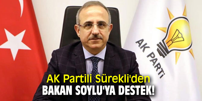 AK Partili Sürekli'den Bakan Soylu'ya destek!