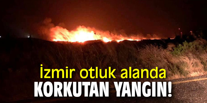 Flaş... İzmir otluk alanda korkutan yangın!