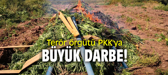 Terör örgütü PKK'ya büyük darbe!