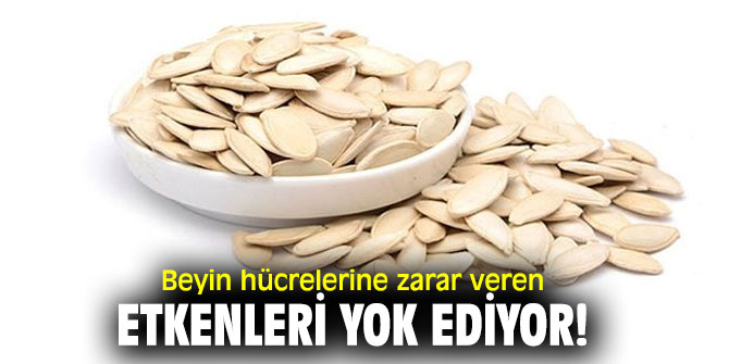 Dikkat! Bu besinler beyin hücrelerine zarar veren etkenleri yok ediyor!