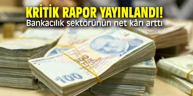 Kritik rapor yayınlandı! Bankacılık sektörünün net kârı arttı