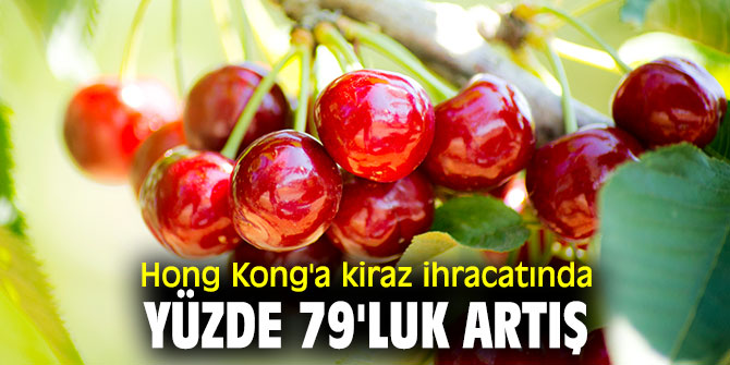 Çinlilerden, Türk meyvelerine yoğun ilgi!