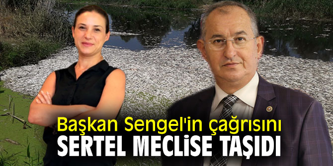 Başkan Sengel'in çağrısını Sertel meclise taşıdı