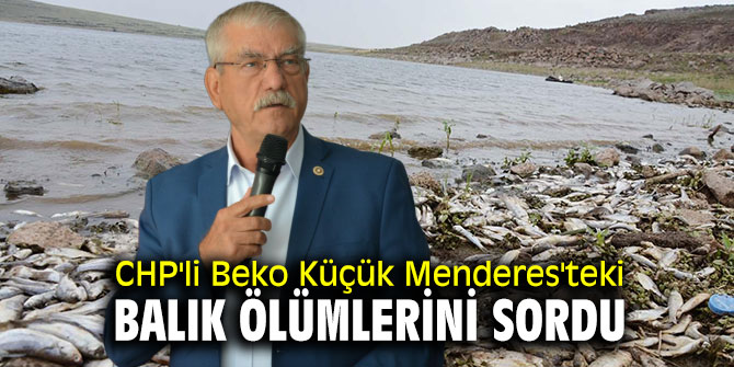 CHP'li Beko Küçük Menderes'teki balık ölümlerini sordu